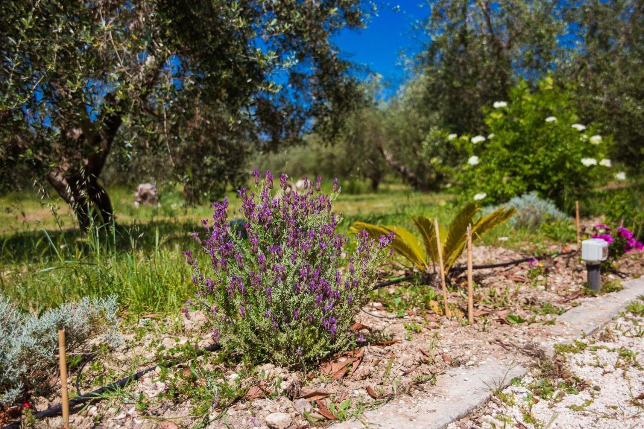 Agriturismo Biologico Piccapane Bed & Breakfast Cutrofiano Ngoại thất bức ảnh